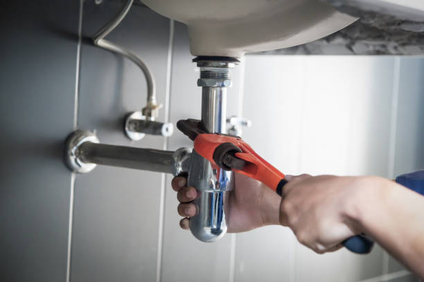 Best Leak Detection Services  in Oakdale, MN